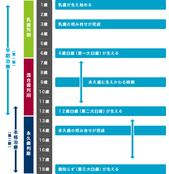 子供の矯正の第1期と第2期治療について